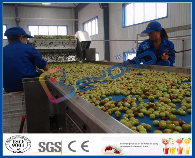 Chinese Date Fruit Juice Processing Line , ISO9001 Fruit Pulp