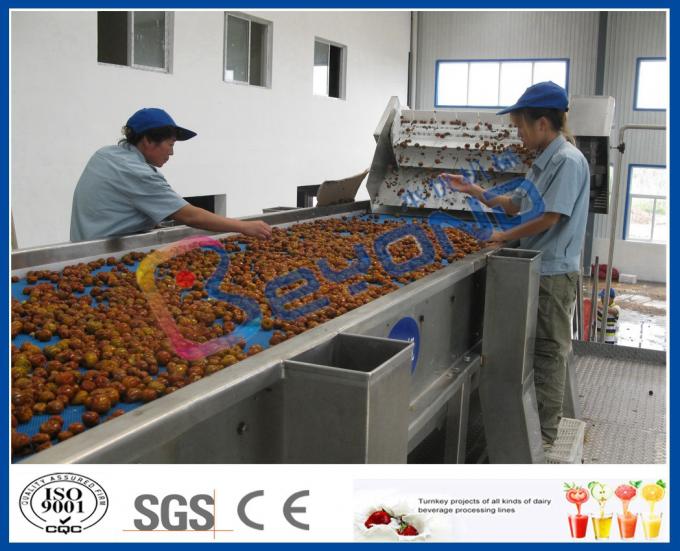 Chinese Date Fruit Juice Processing Line , ISO9001 Fruit Pulp