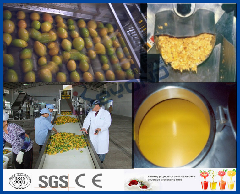 Mango Pulp Processing Machinery Mango Processing Line With Aseptic