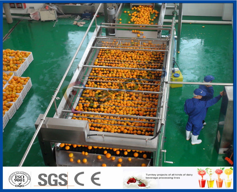 10TPH Automatic Orange Juice Extract Orange Processing Line For Juice
