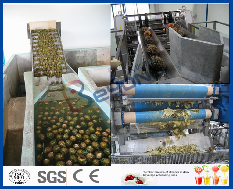Pineapple Processing Juice Factory Machinery With Fruit Juice Packaging