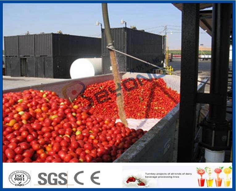 Tomato Sauce Making Machine Tomato Paste Production Line With Hot