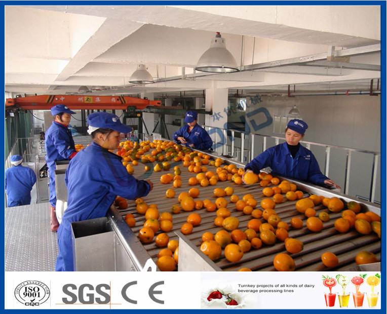 Fruit Juice Processing Equipment With Citrus / Tangerines / Orange