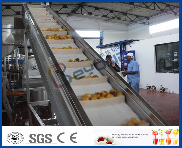 Mango Juice Processing Machine Mango Processing Line For Mango Juice