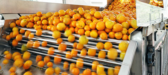 Engery Saving Orange Juice Production Industrial Orange ...