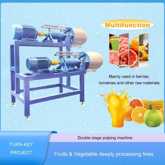 Industrial Automatic Fruit Pulp Making Machine For Mango Pulp Processing