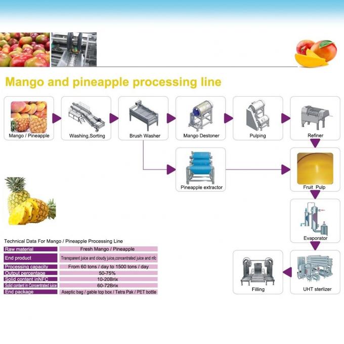 CE Pineapple Juice Extractor / Pineapple Processing Plant For NFC