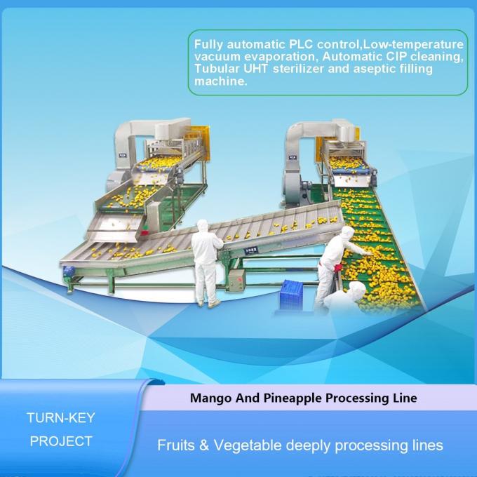 Mango Juice Factory Fruit Pulp Processing Plant , Mango Processing