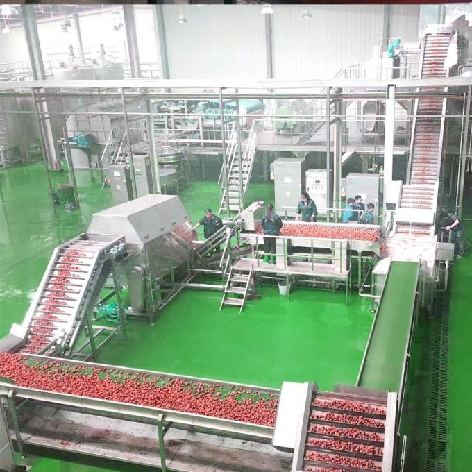 Industrial Fruit Processing Equipment Automatic Fruit Washing conveyor