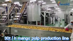 Mango Processing Equipment Mango Juice Processing Plant , Mango Juice Extractor Machine