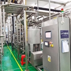 Automatic Mango Processing Line Juice Machine Industrial Commercial