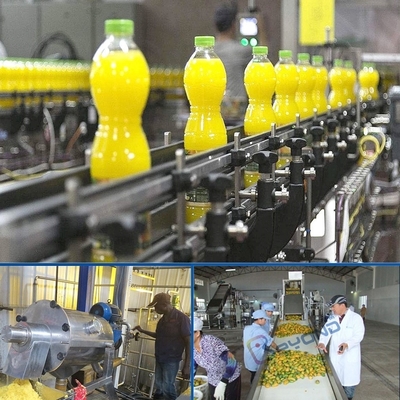 5 - 50T/H Fresh Mango Pulp Plant Automatic Separation Juice Processing