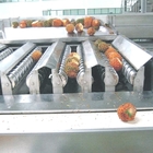 380V 50Hz Pineapple Processing Line For Concentrated Juice