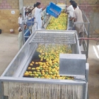 380V 50Hz Pineapple Processing Line For Concentrated Juice