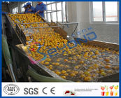 Stepless Shift Fruit And Vegetable Processing Device , Fruit And Vegetable Washer Machine
