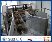 Fully Automatic PLC Control Pineapple Processing Line For Fruit Juice Processing Machines