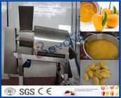 Mango Juice Making Machine Mango Processing Line Fully Automatic PLC Control