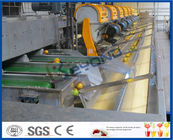 CE Citrus Processing Equipment , Orange Juice Plant With Fruit Processing Technology