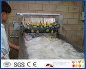 CE Apple Processing Line with Automatic Disinfection Liquid Concentration Control System