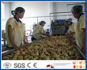 Peach / Apricot / Plum Fruit Juice Production Line Fruit Processing Machinery
