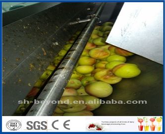 CE Apple Processing Line with Automatic Disinfection Liquid Concentration Control System