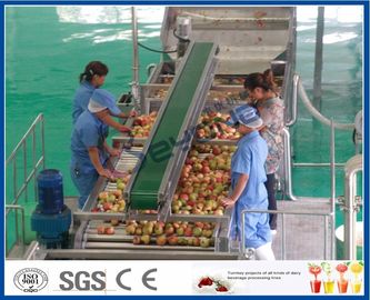 CE Apple Processing Line with Automatic Disinfection Liquid Concentration Control System