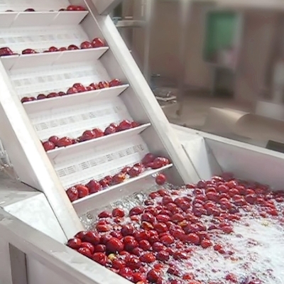 Industrial Pomegranate Juice Production Line 2 - 50T/H Pomegranate Juice Making Equipment