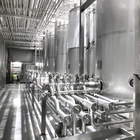 SUS304 Yogurt Processing Line Automatic Dairy Milk Processing Plant