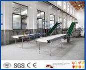 Heat Resistant Slat Conveyor Belt System For Orange Sorting Machine 2TPH Load Capacity