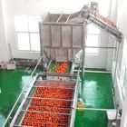 Stainless Steel Fruit Sorting Machine , Energy Saving Fruit Grading Machine