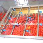 Stainless Steel Fruit Sorting Machine , Energy Saving Fruit Grading Machine
