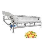 Seabuckthorn  Fruit Processing Automatic Oil Extractor 60 Brix