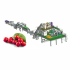 Automatic Jujube Processing Line 50T/H  Extraction And Beating