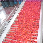 Tomato Planting Machine Tomato Processing Line Full / Semi Automatic 2 - 50 T/H