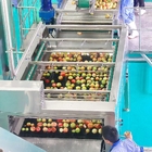 Fruit Grinder Fruit Processing Equipment , Electric Apple Fruit Crusher Machine