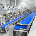 Horizontal Stainless Steel Fruit Conveyor Belt Energy Saving Type
