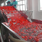 Air Bubble Type Tomato Washing Machine For Vegetable Fruit Processing