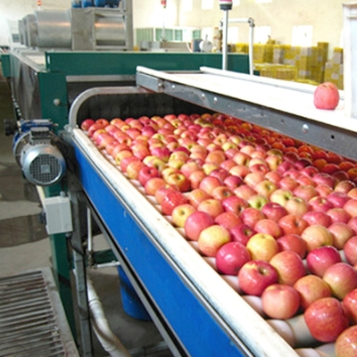 Automatic Mango Washing Waxing Grading Machine For Fruit Processing