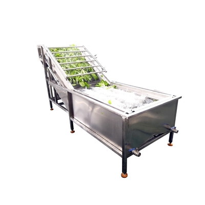 300kg Industrial Strawberry Washing Machine For Fruits Vegetables Processing