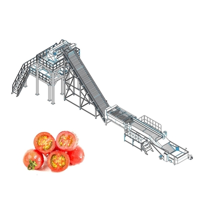 ISO9001 Fresh Tomato Processing Line For Concentrated Paste