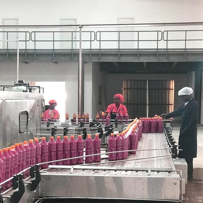 SUS304 Automatic Tomato Processing Line For Tomato Paste Making