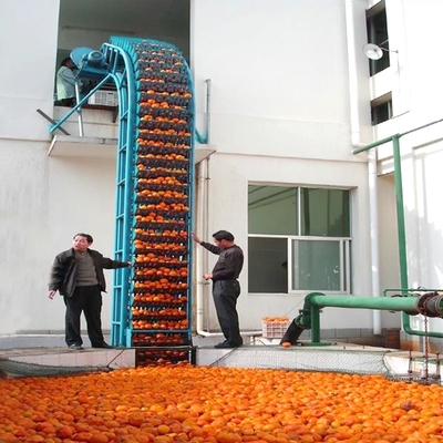 Industrial Fruit Processing Equipment Automatic Fruit Washing conveyor