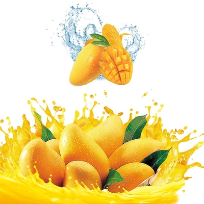 SUS304 Automatic Mango Washing Machine For Fruit Cleaning