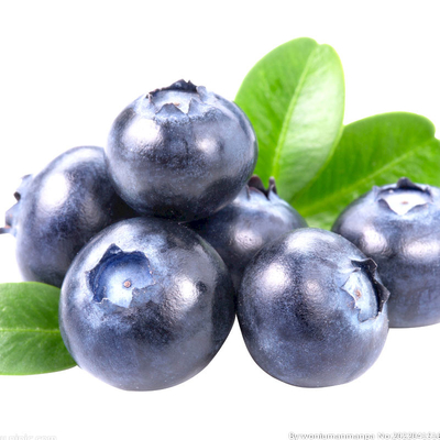 ISO Automatic Fruit Processing Equipment Industrial Blueberry Washing Machine