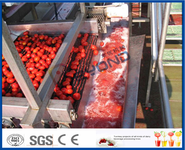 Stainless Steel Tomato Paste Processing Plant For Tomato Sauce