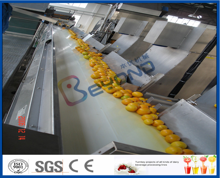 Orange Juice Factory Orange Juice Processing Plant With Juice