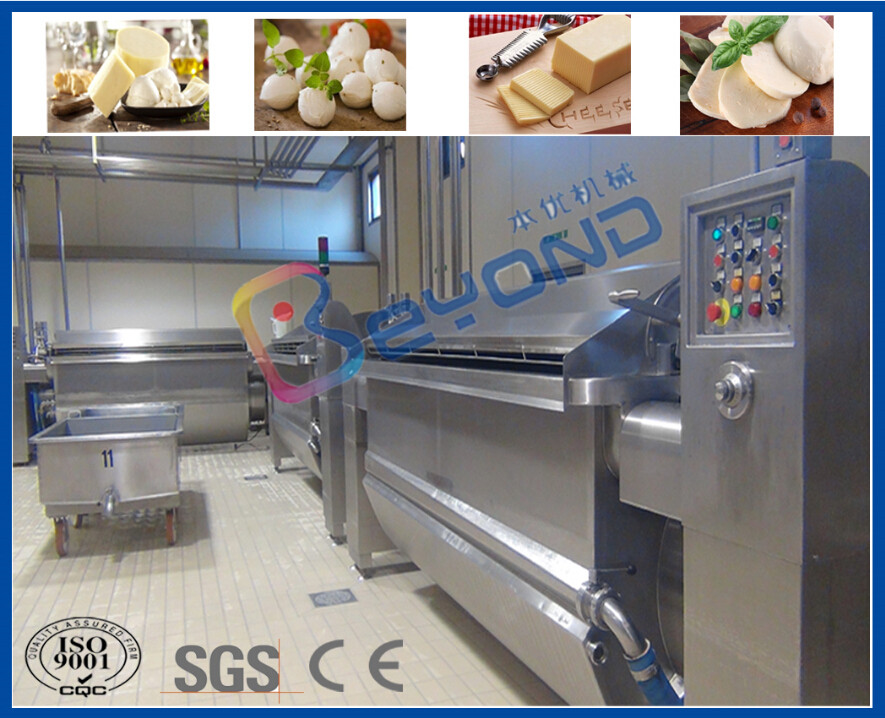 380V / 110V / 415V Industrial Cheese Making Equipment For