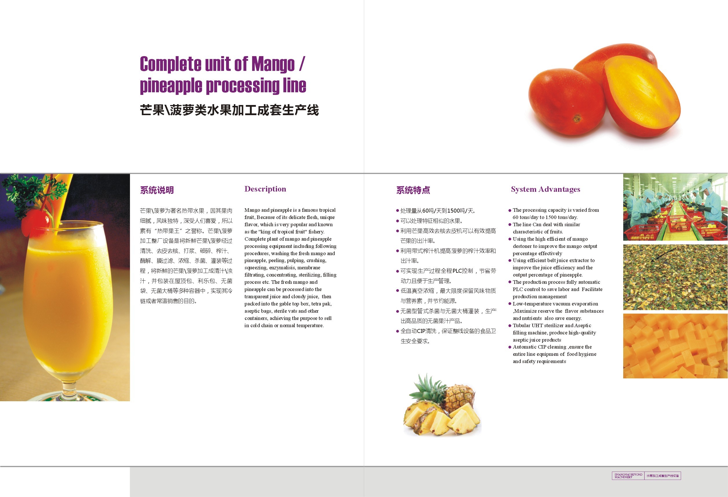 Pineapple Juice Production Pineapple Processing Line For Pineapple