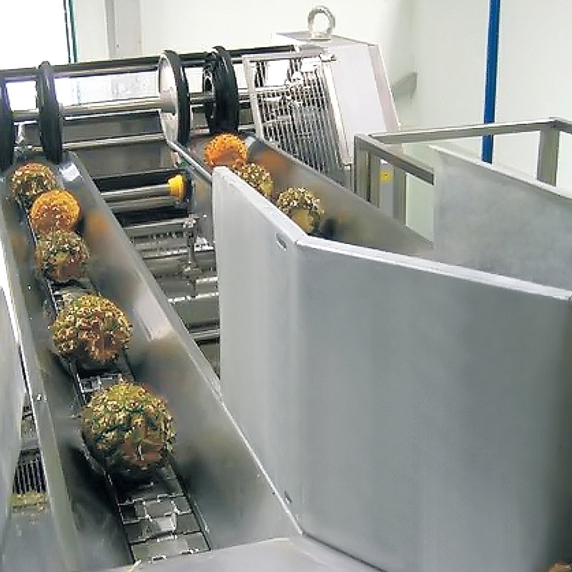 CE Pineapple Juice Extractor / Pineapple Processing Plant For NFC