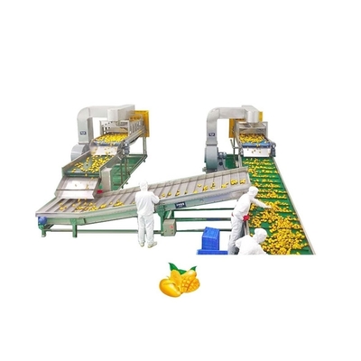 Automatic 380V Mango Processing Line Industrial Juice Making Machine